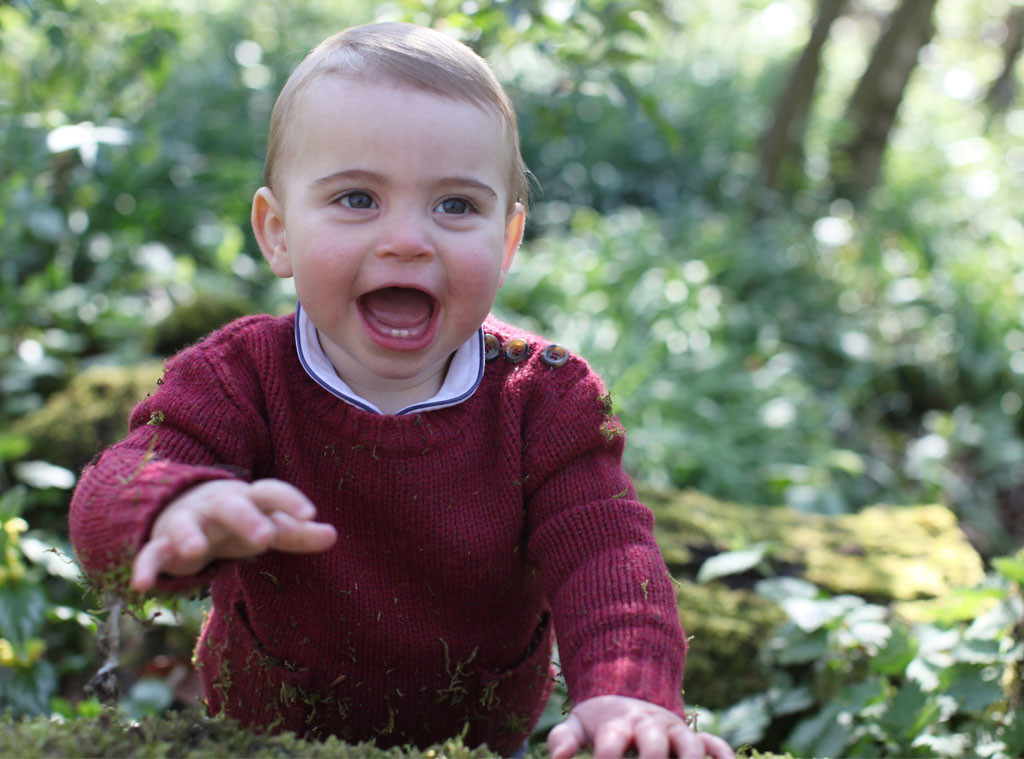 Prince Louis, 1 Year Portrait